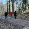 03 bei Waldhausen - Schättere-Trasse